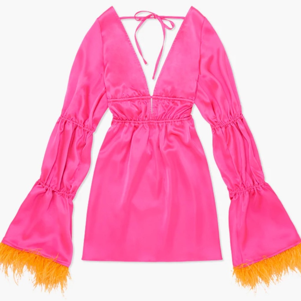 NWOT we wore what TIERED SLEEVE FEATHER SATIN PINK MINI DRESS